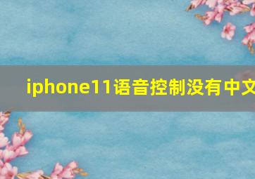 iphone11语音控制没有中文