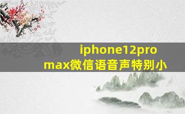 iphone12promax微信语音声特别小