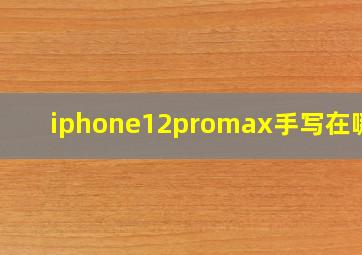 iphone12promax手写在哪里