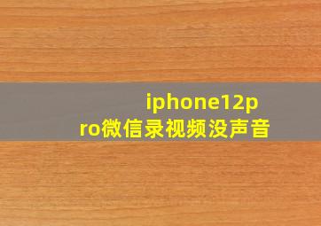 iphone12pro微信录视频没声音