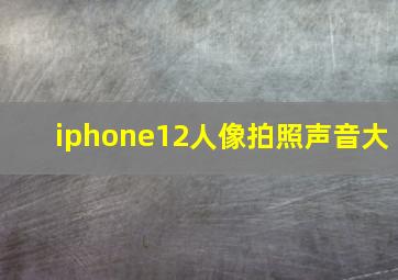 iphone12人像拍照声音大