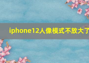 iphone12人像模式不放大了