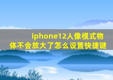 iphone12人像模式物体不会放大了怎么设置快捷键