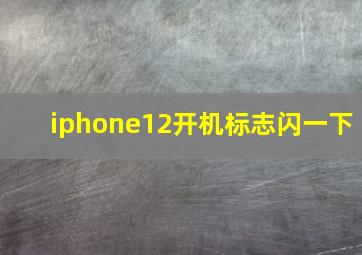 iphone12开机标志闪一下