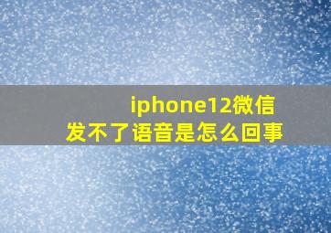 iphone12微信发不了语音是怎么回事