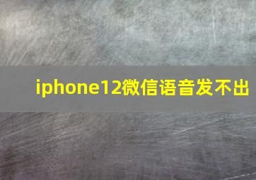 iphone12微信语音发不出