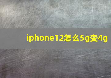 iphone12怎么5g变4g