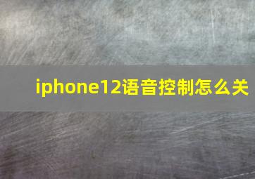 iphone12语音控制怎么关