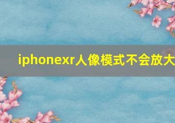 iphonexr人像模式不会放大