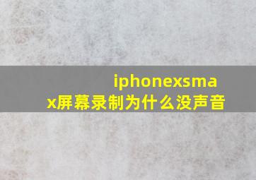 iphonexsmax屏幕录制为什么没声音