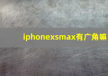 iphonexsmax有广角嘛