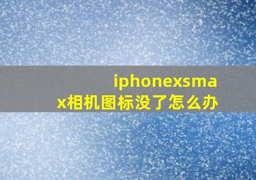 iphonexsmax相机图标没了怎么办