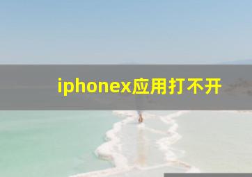 iphonex应用打不开