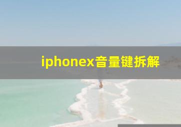 iphonex音量键拆解