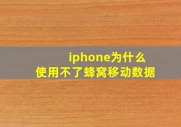 iphone为什么使用不了蜂窝移动数据