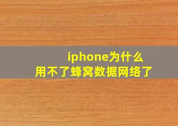 iphone为什么用不了蜂窝数据网络了