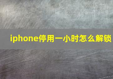 iphone停用一小时怎么解锁