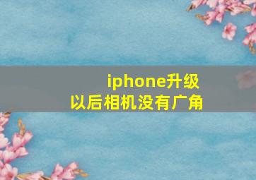 iphone升级以后相机没有广角