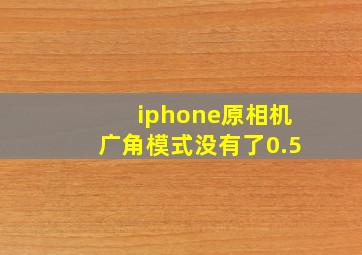 iphone原相机广角模式没有了0.5