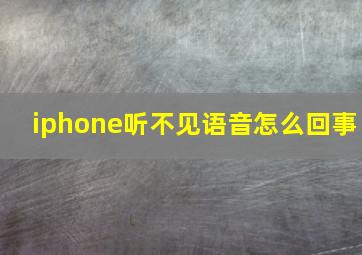 iphone听不见语音怎么回事