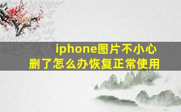 iphone图片不小心删了怎么办恢复正常使用