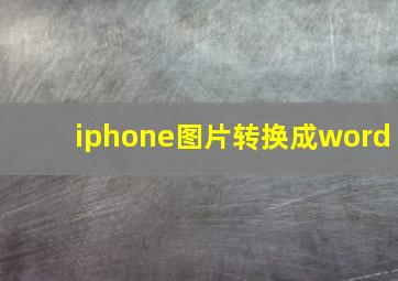 iphone图片转换成word