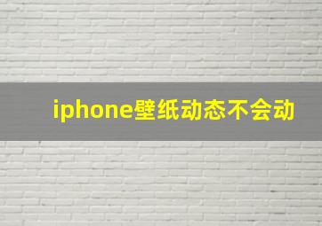 iphone壁纸动态不会动