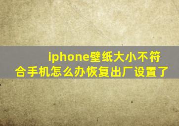 iphone壁纸大小不符合手机怎么办恢复出厂设置了