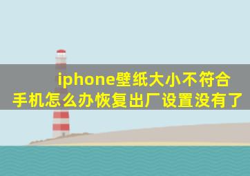 iphone壁纸大小不符合手机怎么办恢复出厂设置没有了