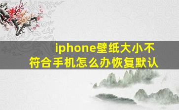 iphone壁纸大小不符合手机怎么办恢复默认