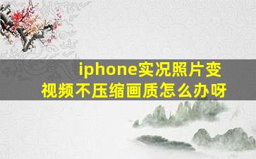 iphone实况照片变视频不压缩画质怎么办呀