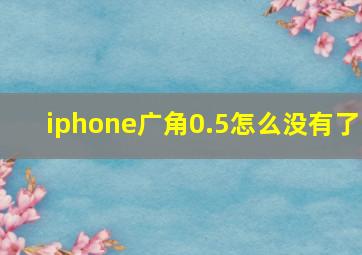 iphone广角0.5怎么没有了