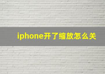 iphone开了缩放怎么关