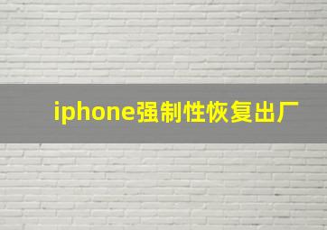 iphone强制性恢复出厂