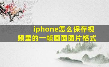 iphone怎么保存视频里的一帧画面图片格式