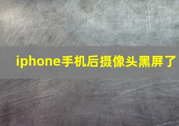 iphone手机后摄像头黑屏了