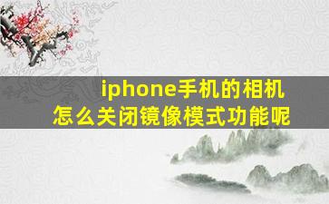 iphone手机的相机怎么关闭镜像模式功能呢