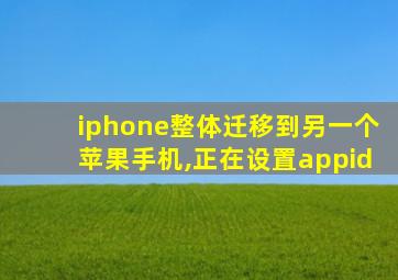 iphone整体迁移到另一个苹果手机,正在设置appid