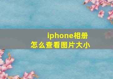 iphone相册怎么查看图片大小