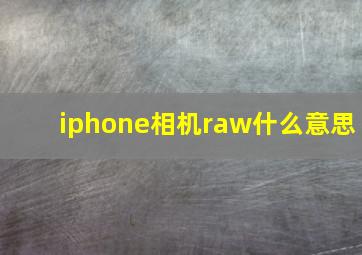 iphone相机raw什么意思