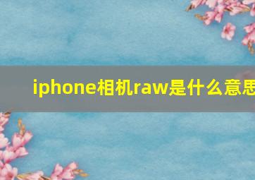 iphone相机raw是什么意思