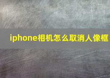 iphone相机怎么取消人像框