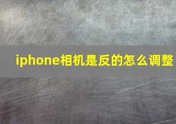 iphone相机是反的怎么调整