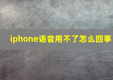 iphone语音用不了怎么回事