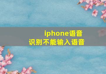 iphone语音识别不能输入语音