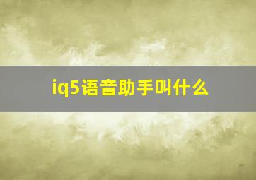 iq5语音助手叫什么