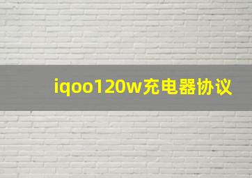 iqoo120w充电器协议