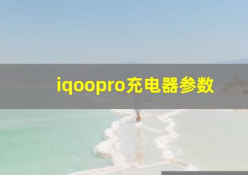 iqoopro充电器参数