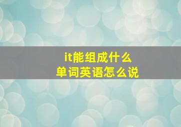 it能组成什么单词英语怎么说