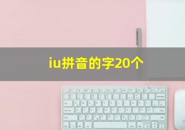 iu拼音的字20个